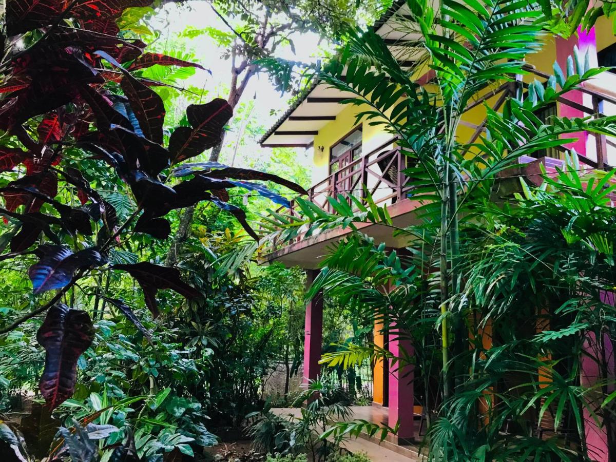 Gangadiya Lodge Σιγκιρίγια Εξωτερικό φωτογραφία