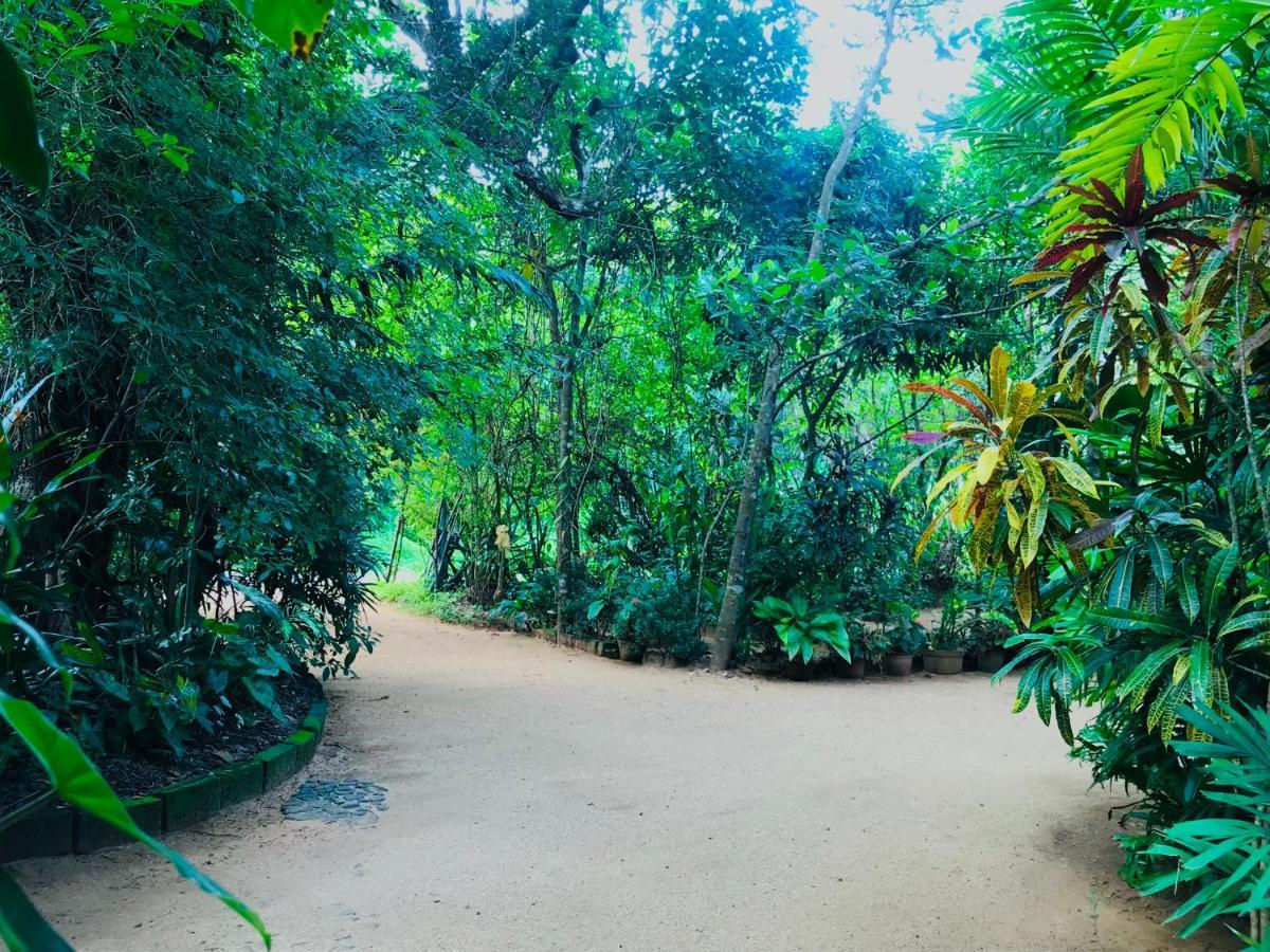 Gangadiya Lodge Σιγκιρίγια Εξωτερικό φωτογραφία